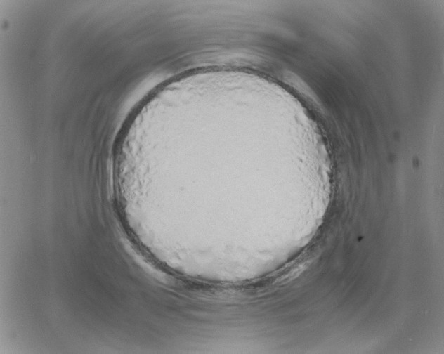 X0000060751079200512081937