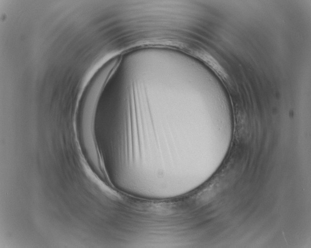 X0000060751084200512081937