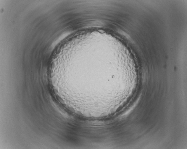 X0000060751113200512081936