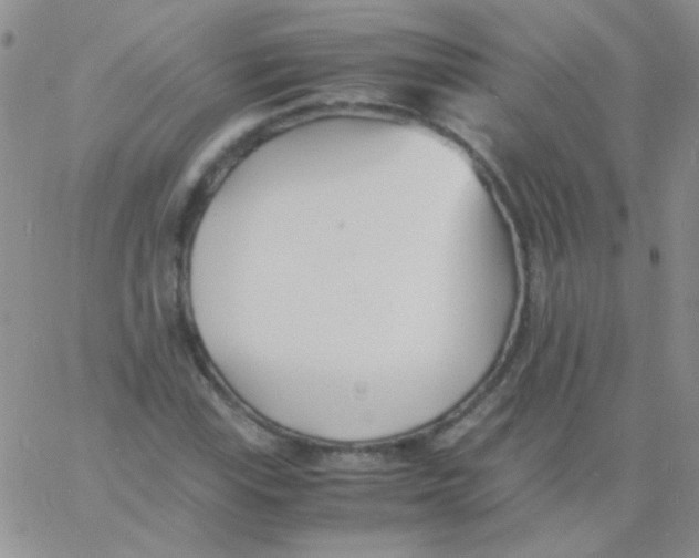 X0000060751115200512081936