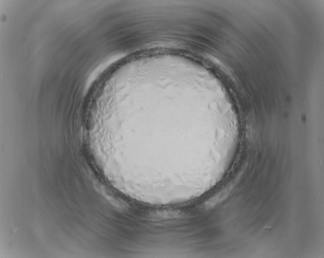 X0000060751117200512081936