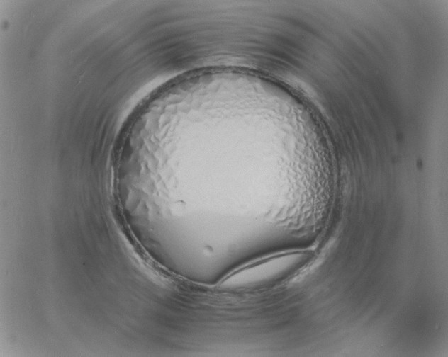 X0000060751125200512081936