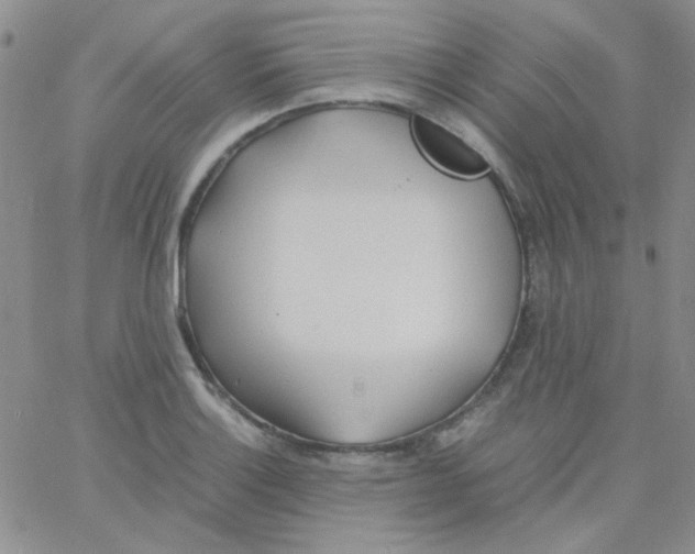 X0000060751132200512081936