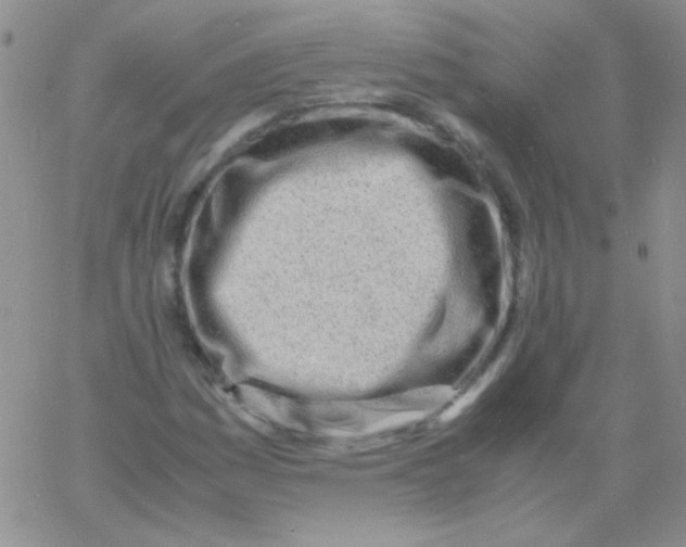 X0000060751161200512081936