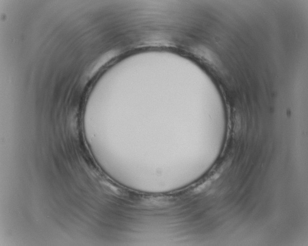 X0000060751162200512081936