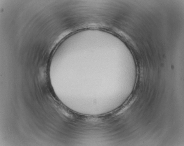 X0000060751170200512081935