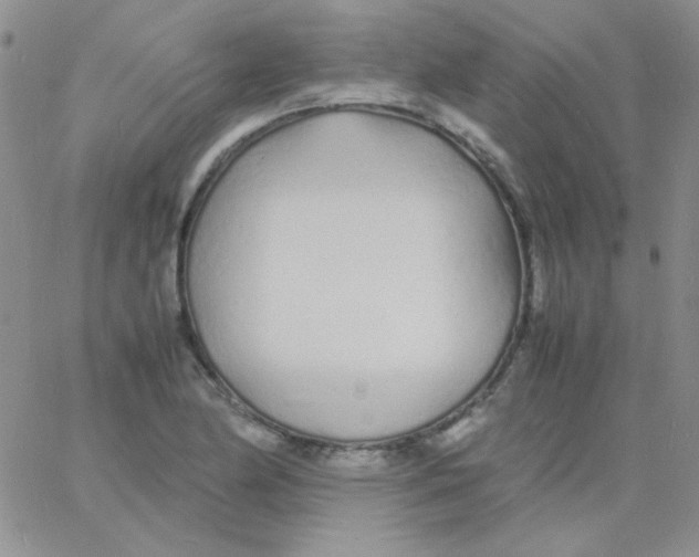 X0000060751174200512081935