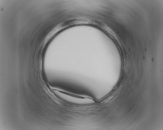 X0000060751179200512081935