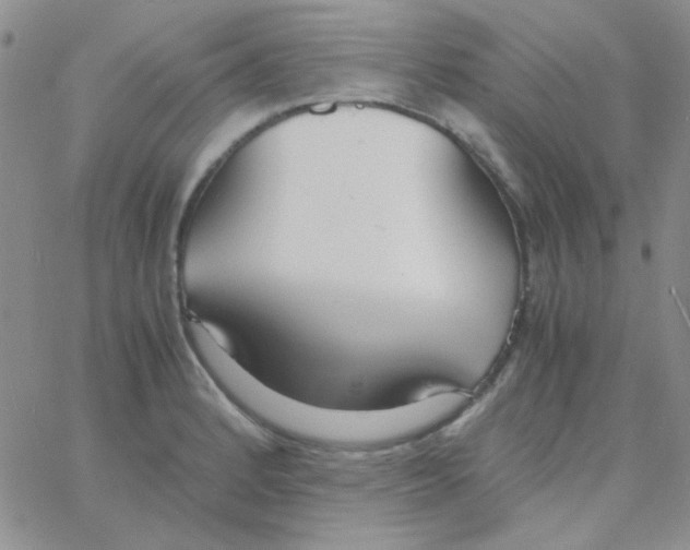 X0000060751184200512081935
