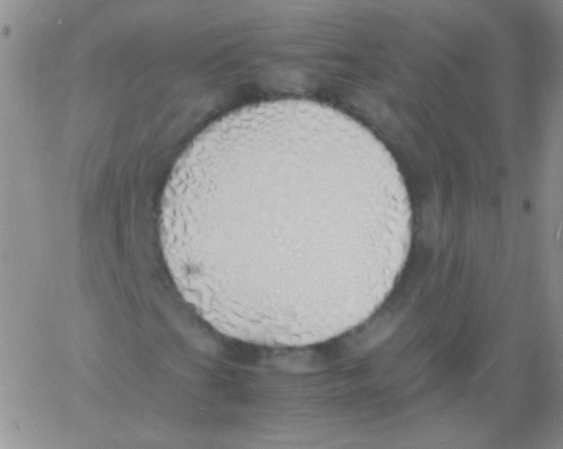 X0000060751201200512081934