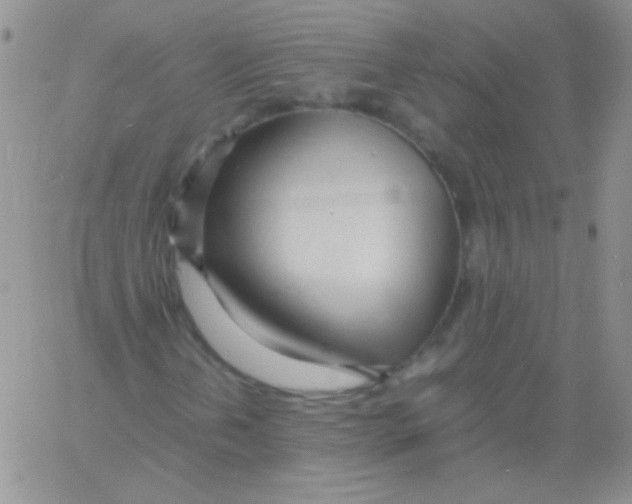X0000060751202200512081934
