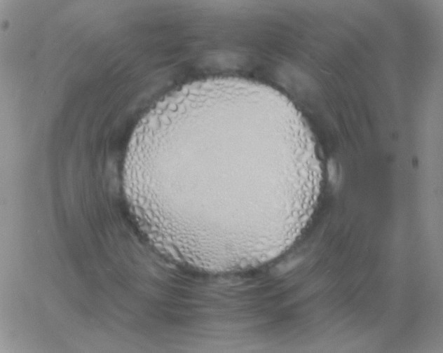 X0000060751203200512081934