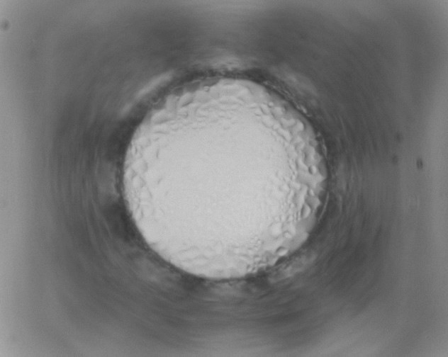 X0000060751205200512081934