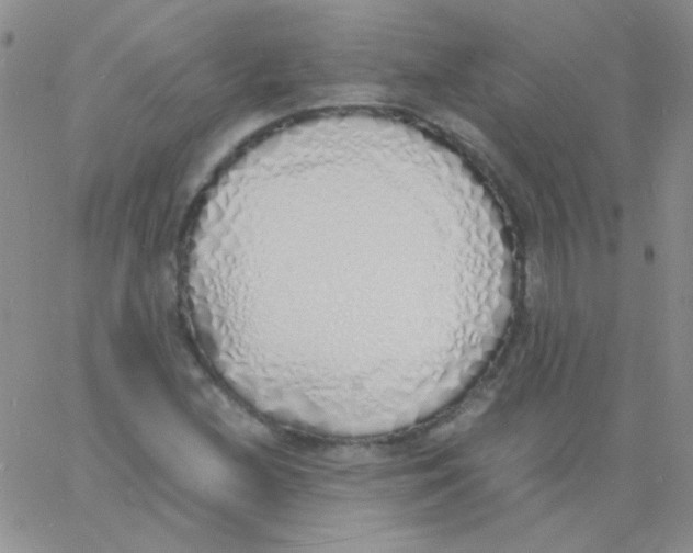 X0000060751212200512081934
