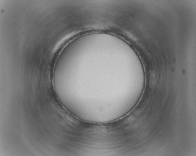 X0000060751214200512081934