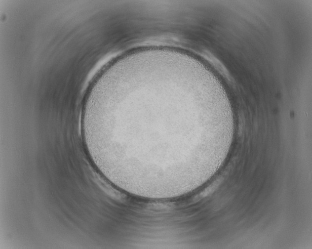X0000060751224200512081935