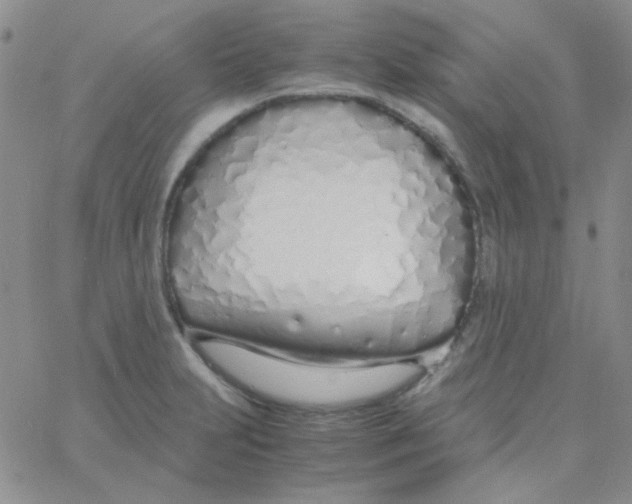 X0000060751231200512081935