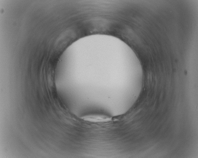 X0000060751250200512081934
