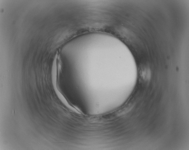 X0000060751252200512081934