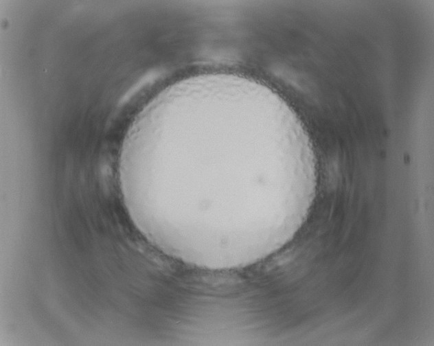 X0000060751254200512081934