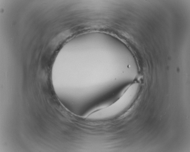 X0000060751257200512081934