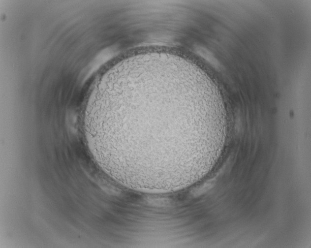 X0000060751258200512081934