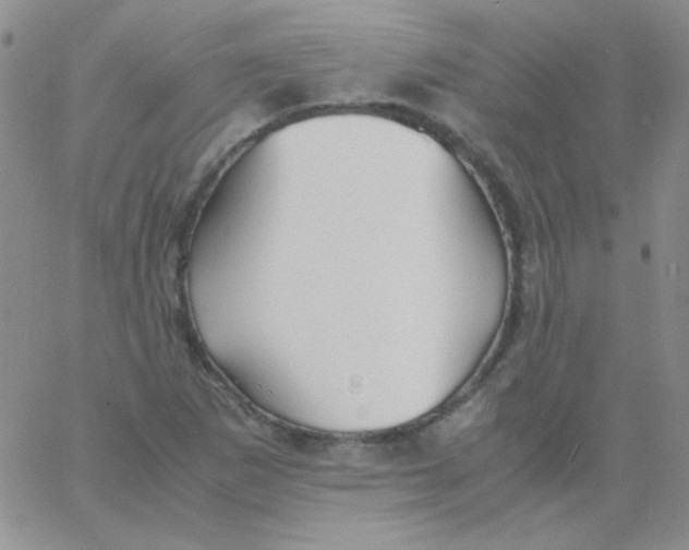 X0000060751265200512081934
