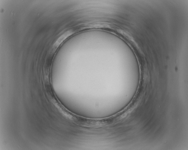 X0000060751273200512081934