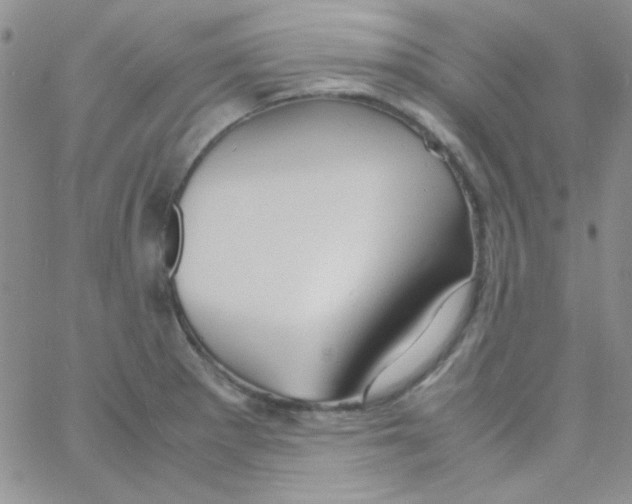 X0000060751281200512081934