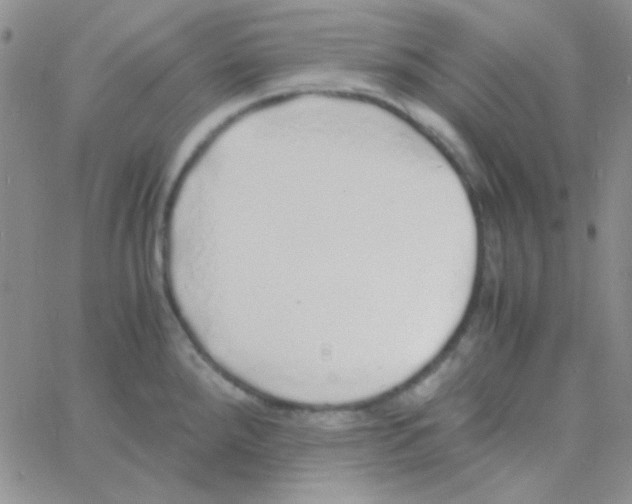 X0000060751288200512081934