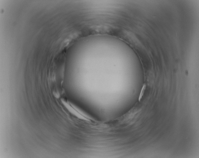 X0000060751298200512081933