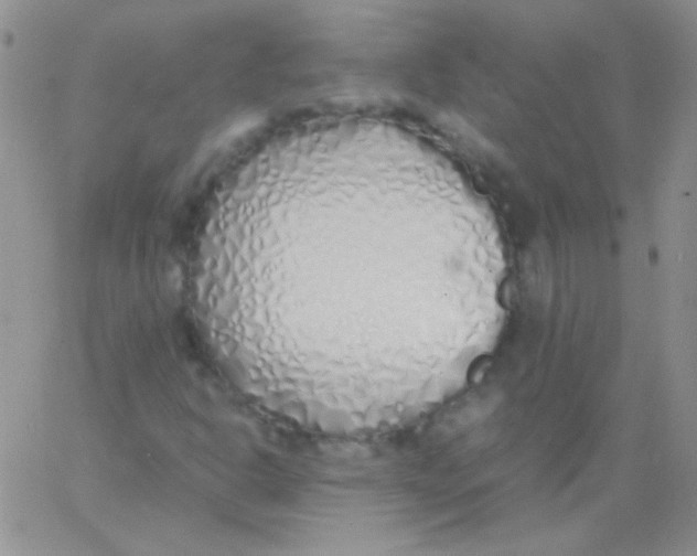 X0000060751302200512081933