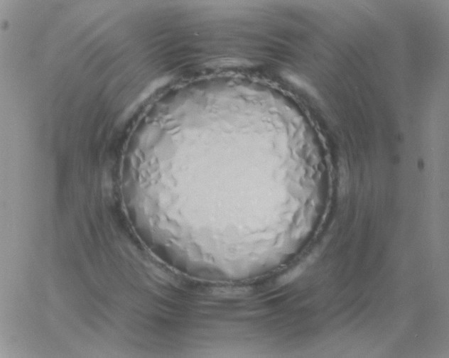 X0000060751305200512081933