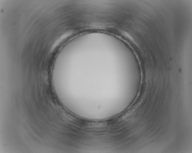 X0000060751307200512081933