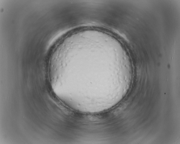 X0000060751311200512081933