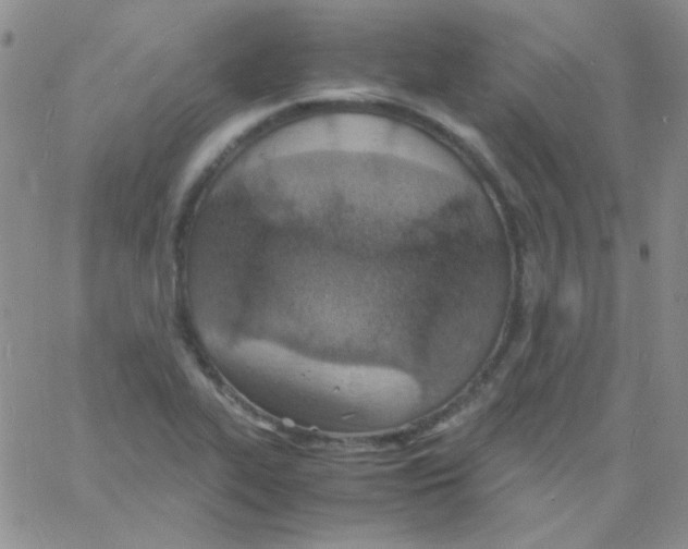 X0000060751319200512081933