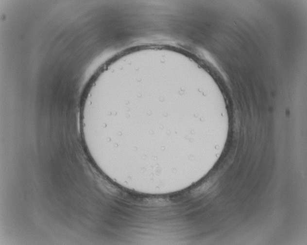 X0000060751320200512081933