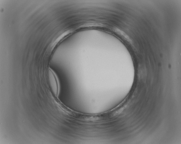 X0000060751321200512081933
