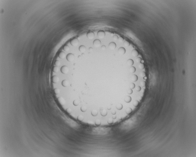 X0000060751322200512081933