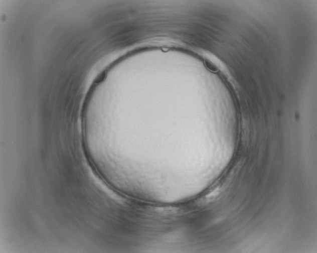 X0000060751335200512081933