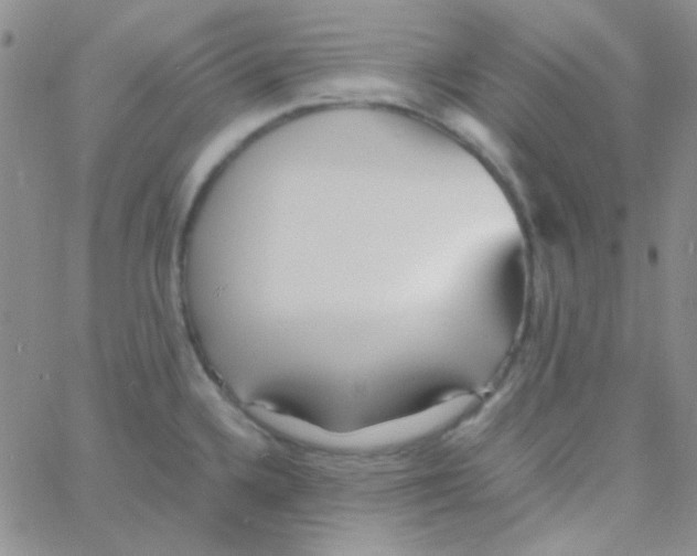 X0000060751336200512081933