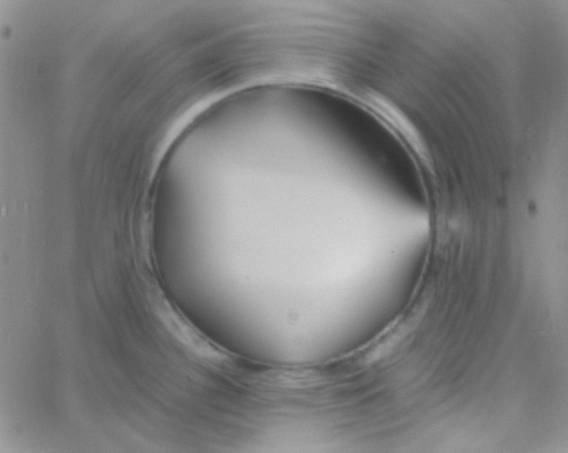 X0000060751340200512081933