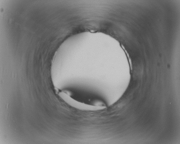 X0000060751345200512081933