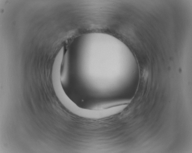 X0000060751348200512081933