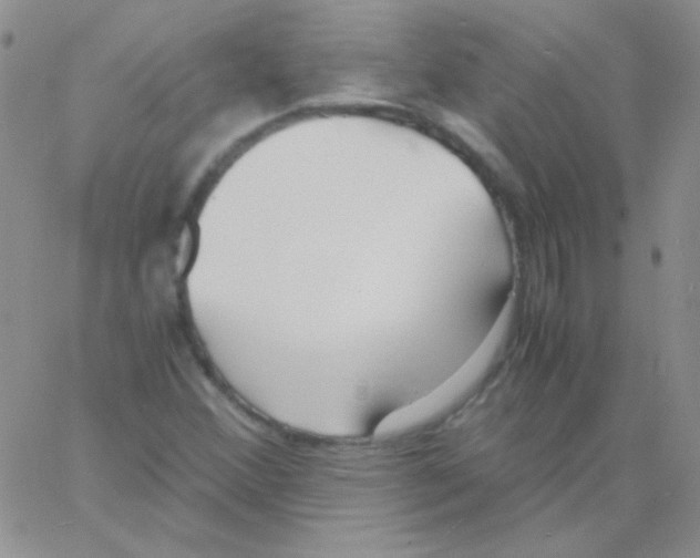 X0000060751356200512081932