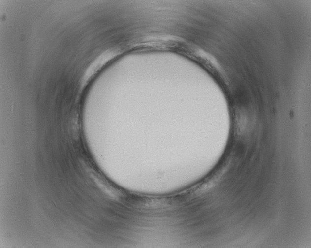 X0000060751362200512081932