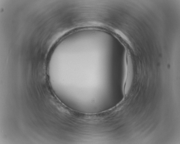 X0000060751364200512081932