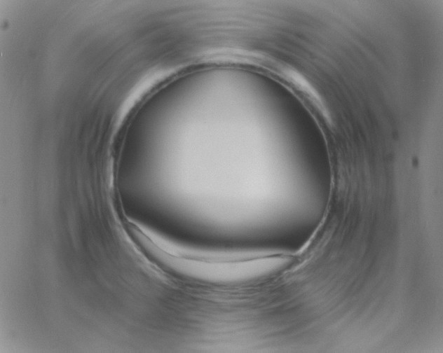 X0000060751376200512081932