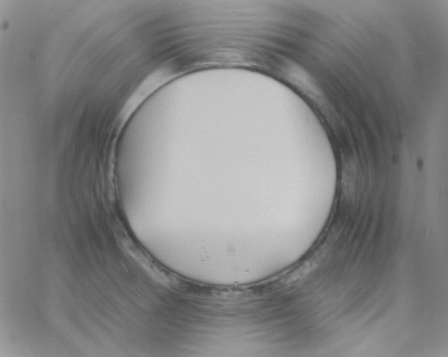 X0000060751378200512081932