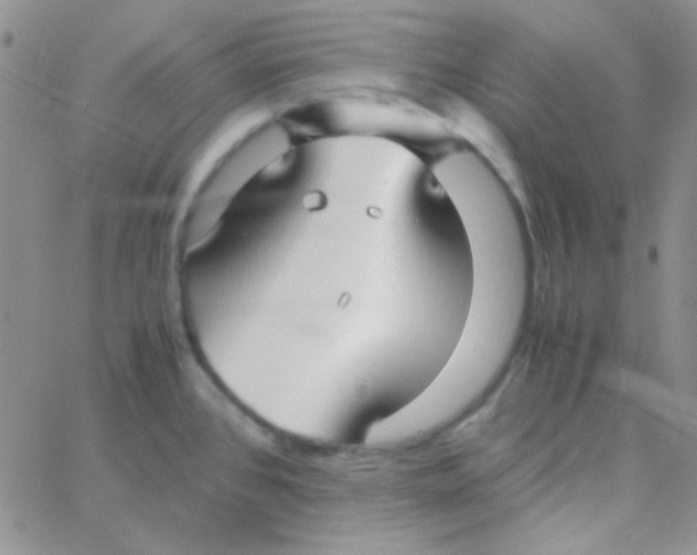 X0000060751384200512081932